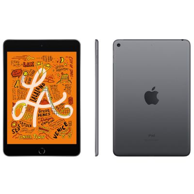 Apple IPad mini 256GB 4G Tablet 7.9" Space Gray