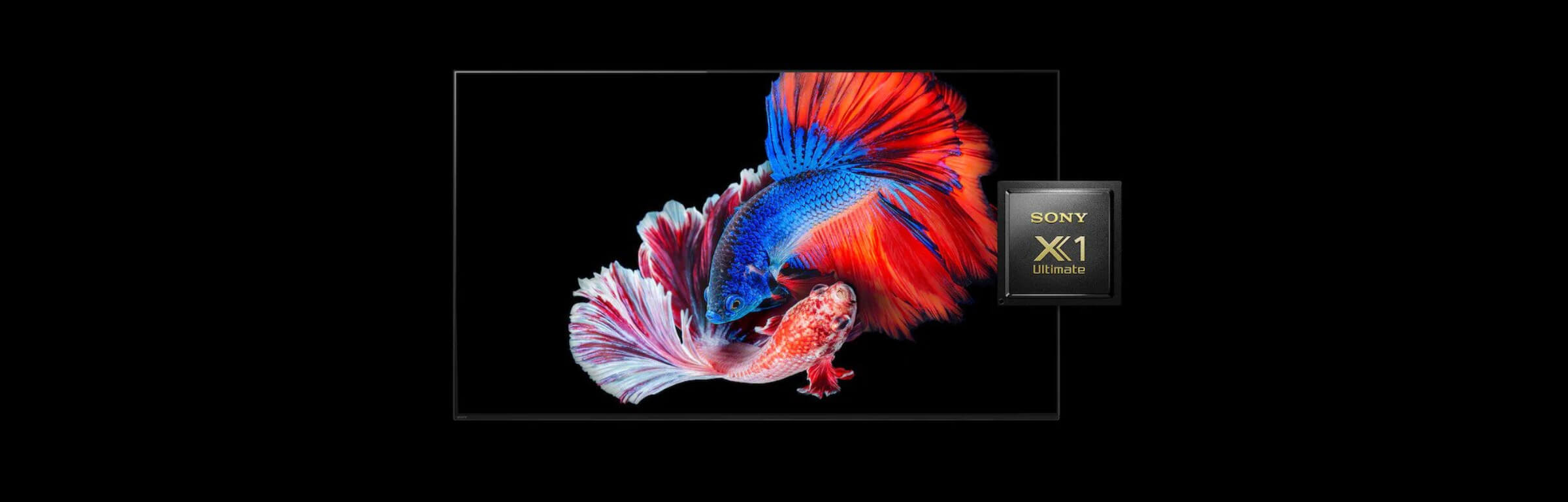 OLED