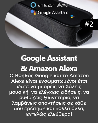 Google assistant & Amazon Alexa