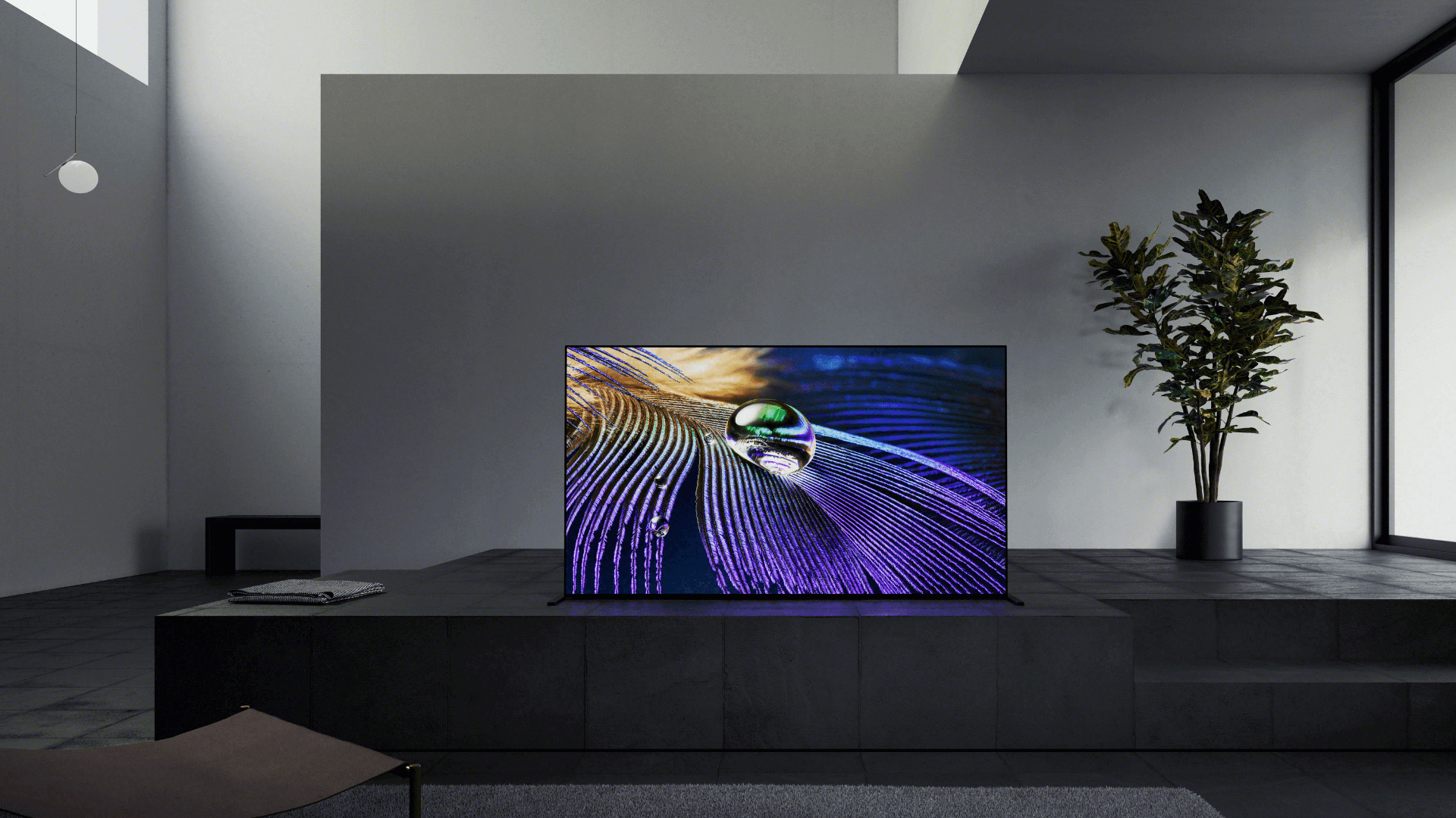 SONY OLED TVs 2021