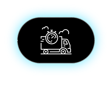 Next Day Delivery